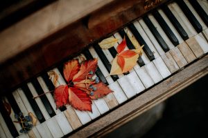 Skilled piano tuners in Normandy Park: Transform your piano's sound.