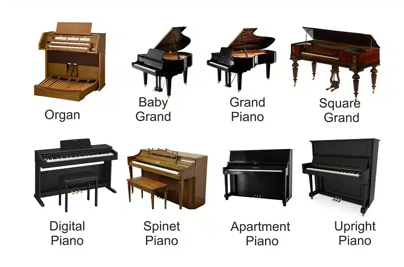 Finding the Best Price for Piano Moving