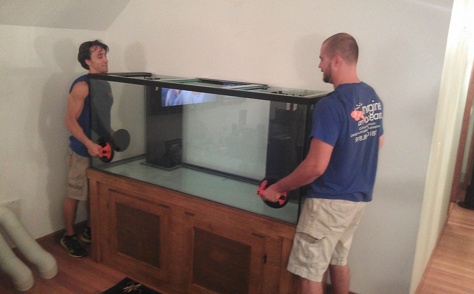 fish tank aquarium movers near me