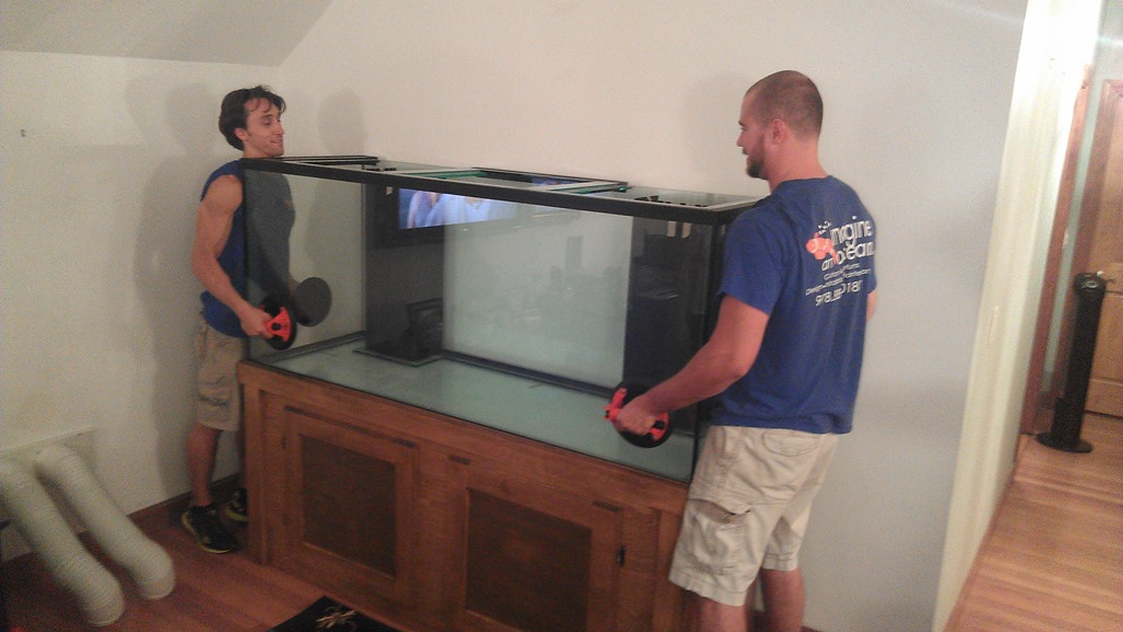 fish tank aquarium movers near me